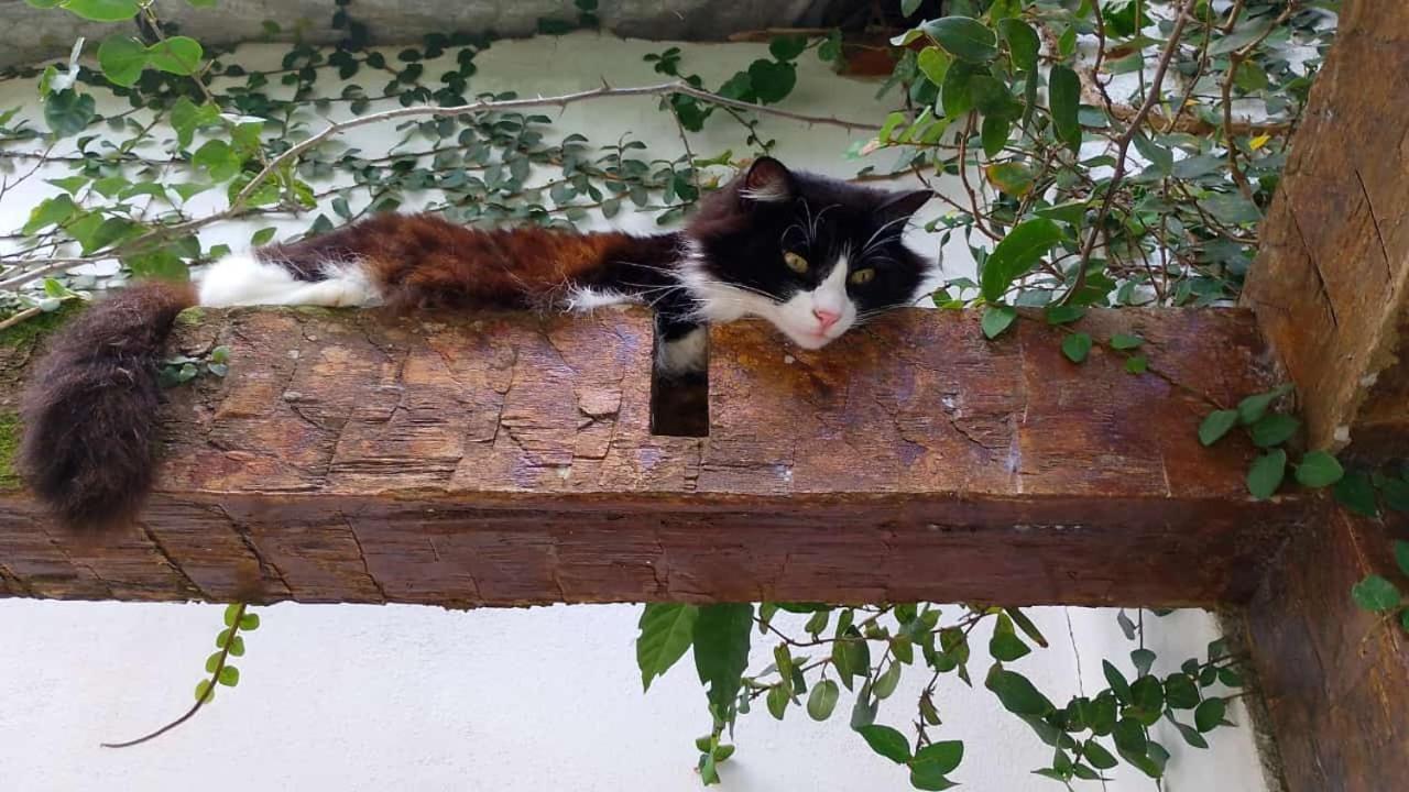 Pousada Buzios Summer Park المظهر الخارجي الصورة